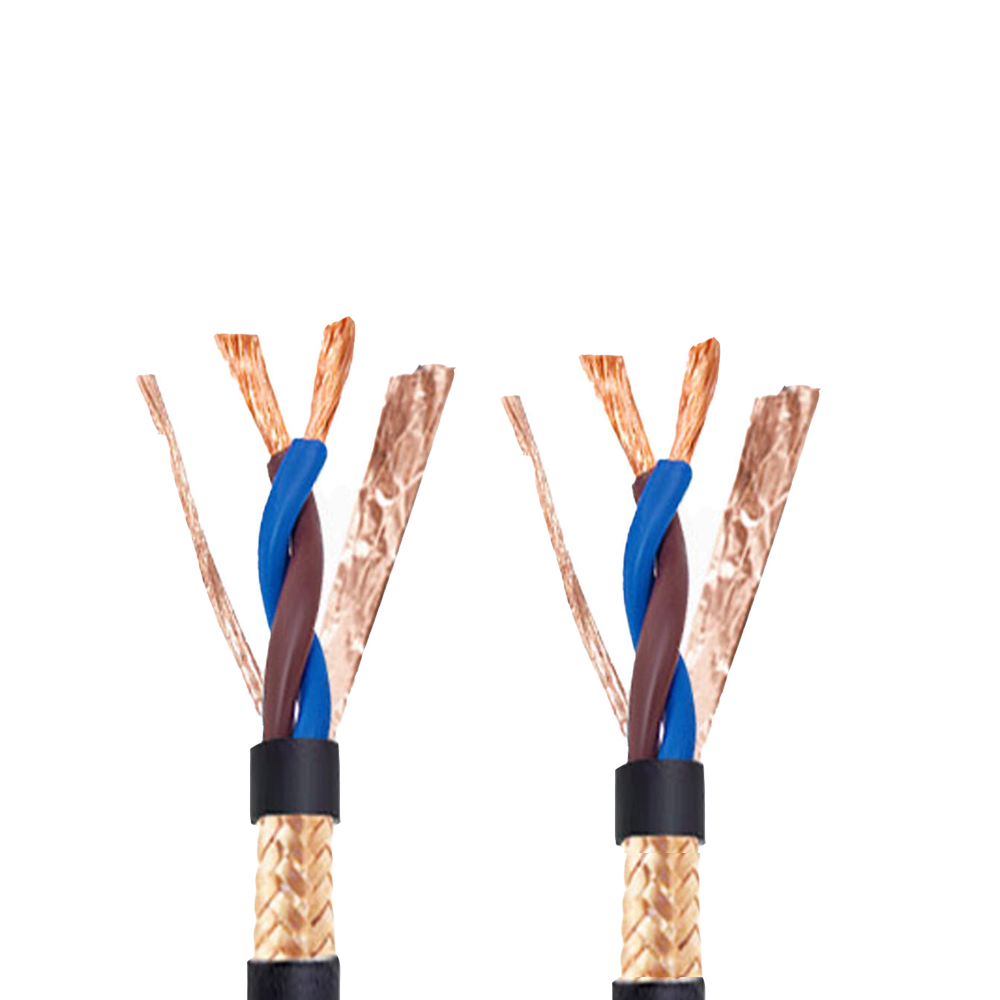 RVSP/NH-RVSP 300/300V বিল্ডিং ওয়্যার