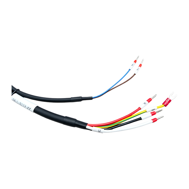 S6-L-B112-3.0 হাই-পাওয়ার মোটর এবং ব্রেক কম্বো কেবল